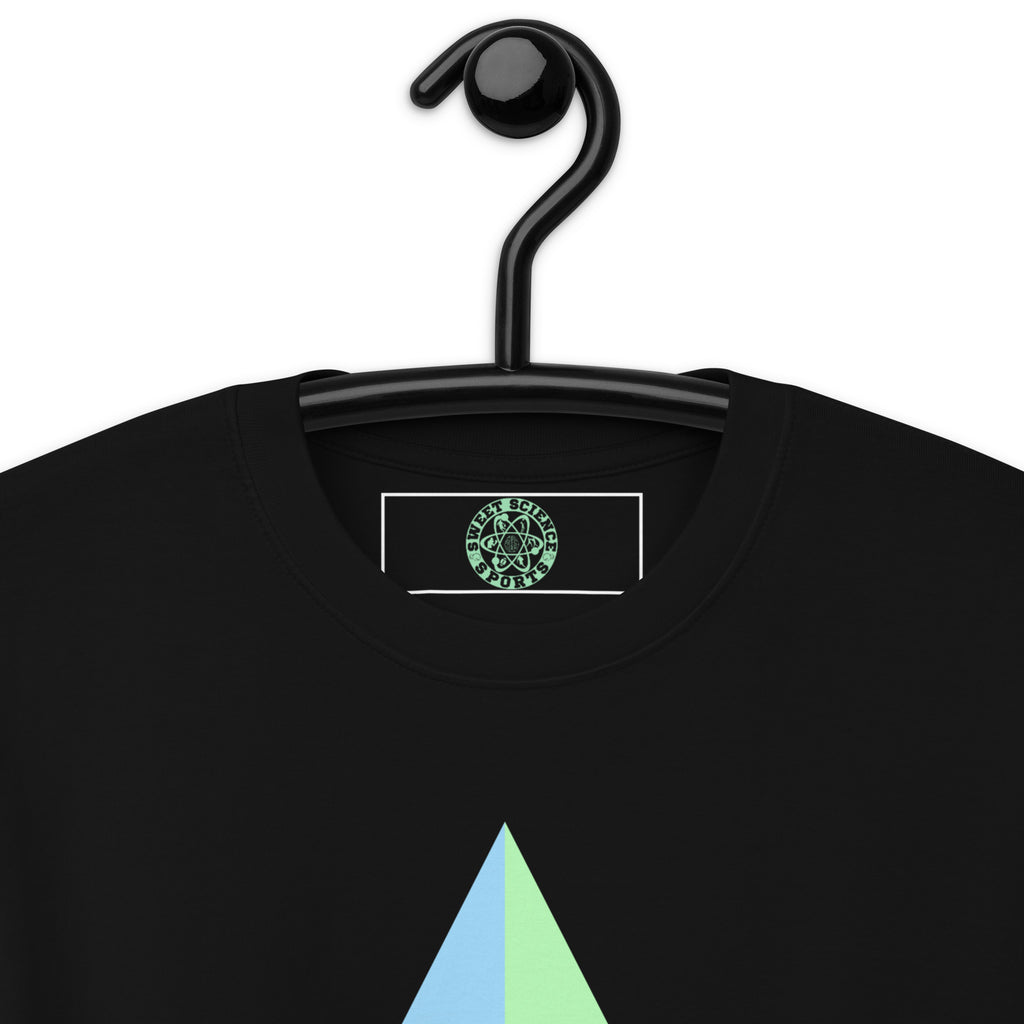 Sweet Science Sports Men's premium heavyweight tee