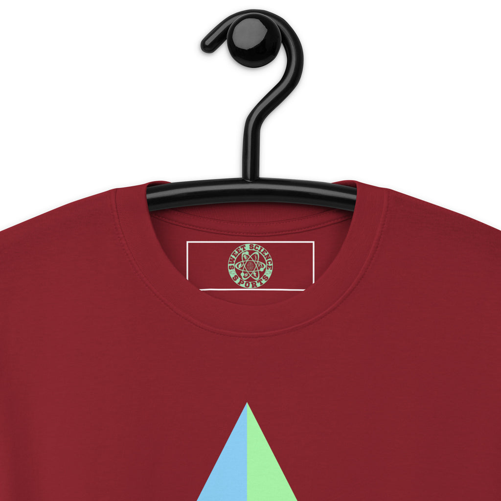 Sweet Science Sports Men's premium heavyweight tee