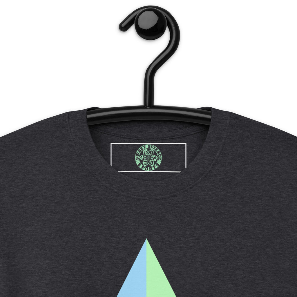 Sweet Science Sports Men's premium heavyweight tee