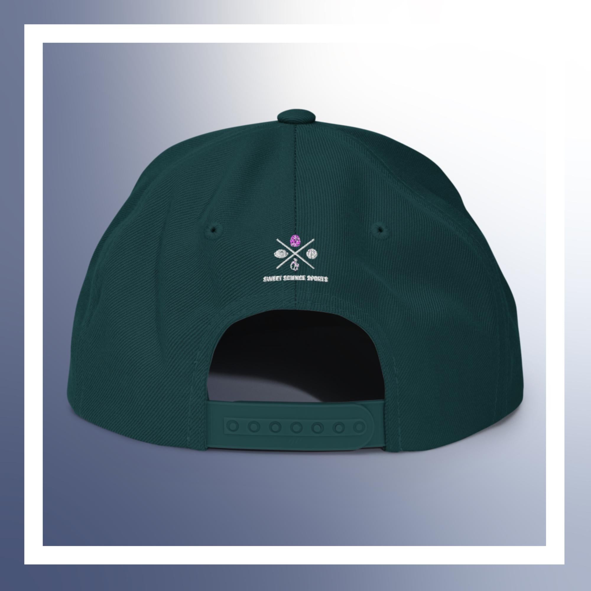 Sweet Science Sports JAB to the Body Snapback Hat